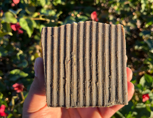 Turmeric & Eucalyptus Bar