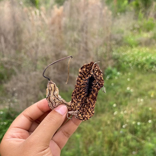 Duck Flower